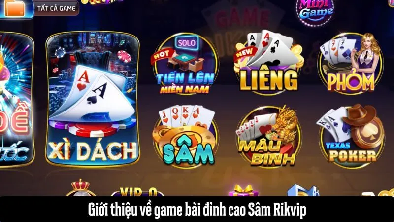 Giới thiệu về Sâm Rikvip
